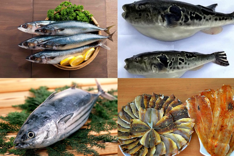 Những loại cá không nên ăn khi mang thai